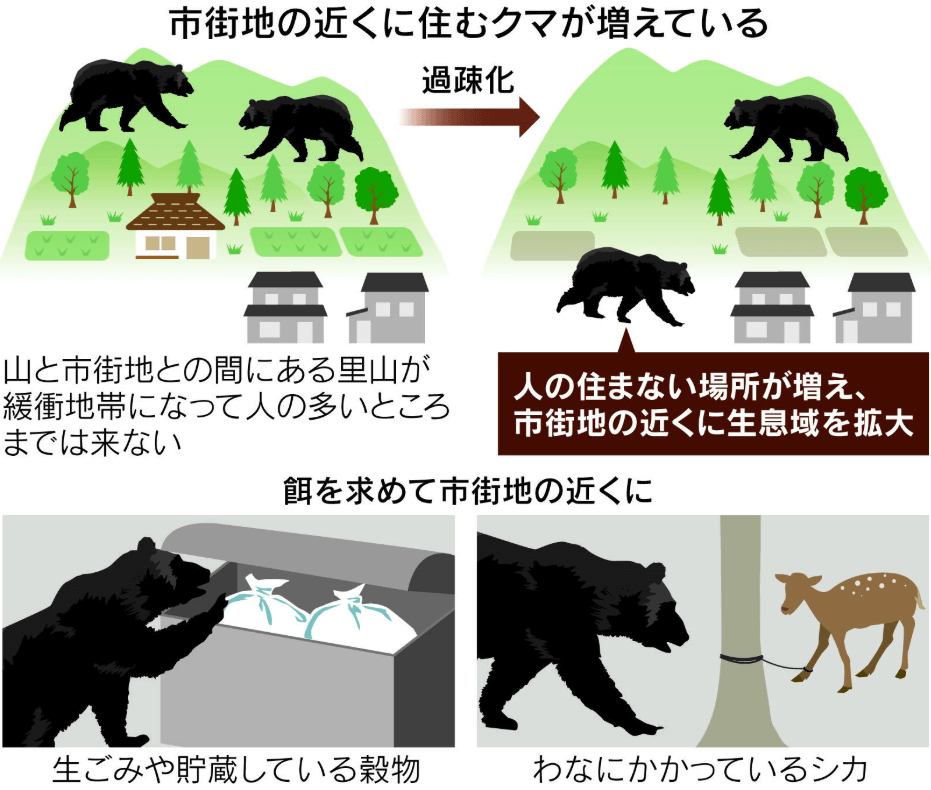 日経新聞の過疎化による熊の出没増加の要因画像
