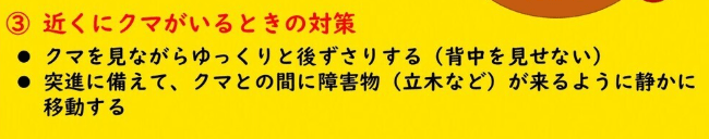 むつ市の近くにクマがいる時の対策紹介